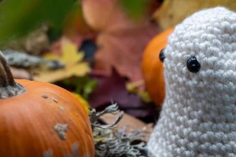 Fun Cute Spooky Ghost Pumpkin Halloween Autumn Leaves-18 Stock Photos
