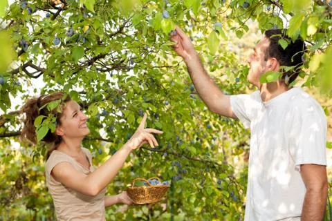 Fun day at the field Stock Photos
