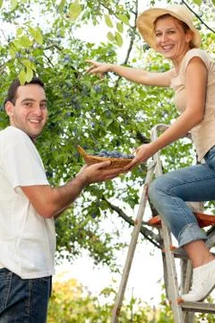 Fun day at fruit farm Stock Photos