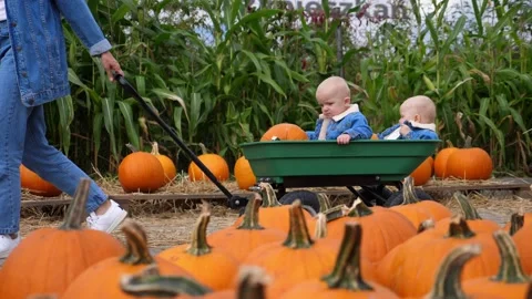 Fun day at pumpkin patch. A cart with two Caucasian babies pushed by mom, all in Stock Footage 139213468
