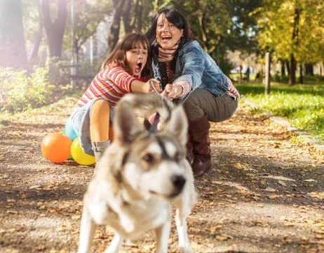 Fun with dog Foto stock