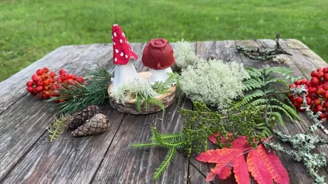 Fun, eco-friendly projects for children using egg cartons and natural supplies. Stock Footage 320499123