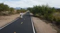 fun encounter of horse being walked or trained while bike riding 4k or 4k+ Resolution