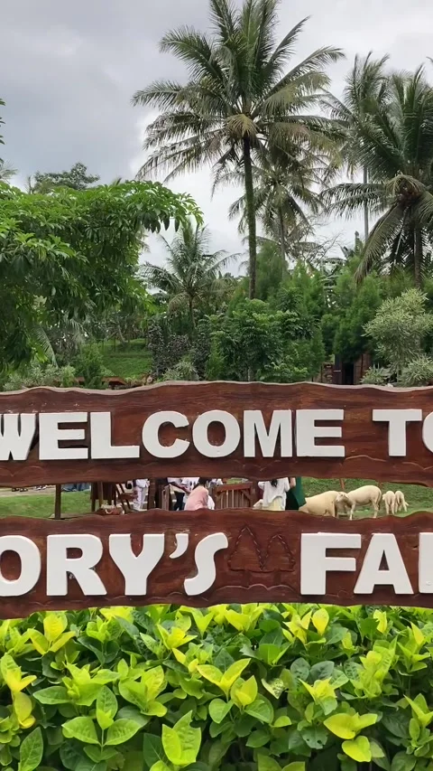 Fun Farm Stock Footage 245001897