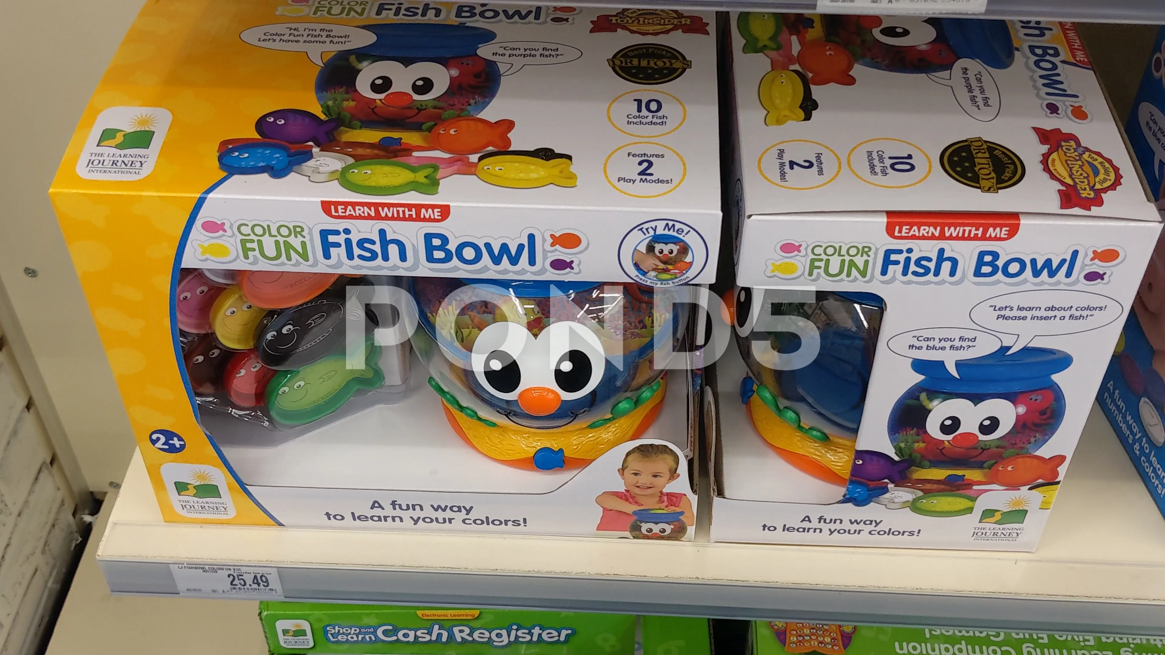 Fun Fish Bowl Available for Purchase Stock Video Pond5