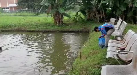 Fun Fishing Stock Footage 220675499