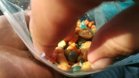 Fun friends snacks Stock Footage 251889532