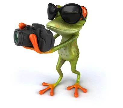 Fun frog Stock Illustration