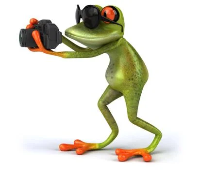 Fun frog Stock Illustration