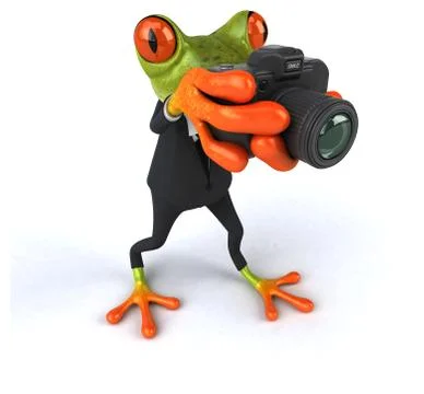 Fun frog Stock Illustration