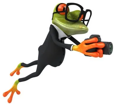 Fun frog Stock Illustration