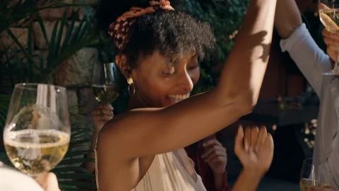 Fun group of friends making toast drinking wine at summer dance party enjoying Stock Footage 113241399