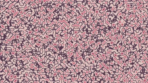 Fun Indie Pattern Stock Footage 152306167