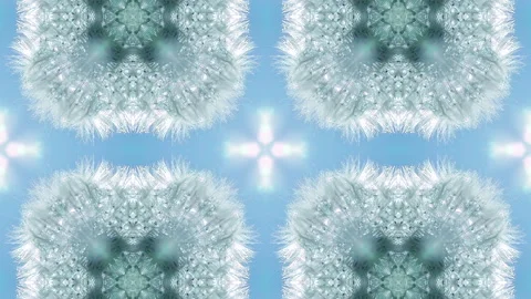 Fun kaleidoscopic pattern with white square dandelion in mirror reflection Vídeo Stock 264769663