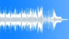 Fun Kids Comedy Country Blues Guitar Background Music Transition Stinger 30Stock Music