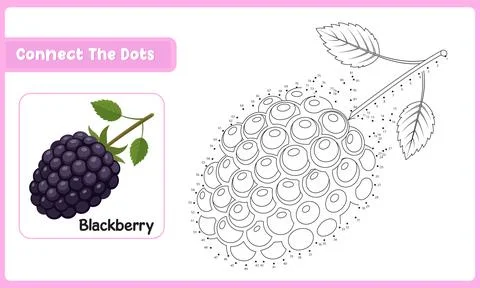 Fun kids counting worksheet featuring blackberry dot to dot puzzle and scho.. Ilustração Stock