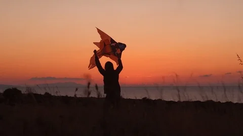 Fun with the kite Stockbeeldmateriaal 97837854