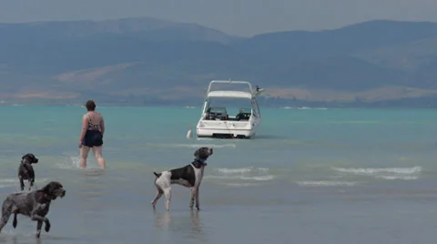 Fun at the Lake 3 库存影片 28837824