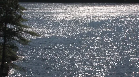 Fun on the lake Stock-Footage 7757798