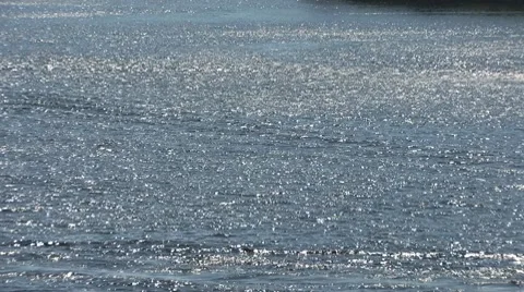 Fun on the lake Stock Footage 7757888