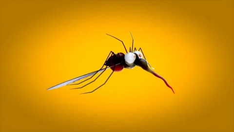 Fun mosquitoes 3d animation 스톡 동영상 280060282