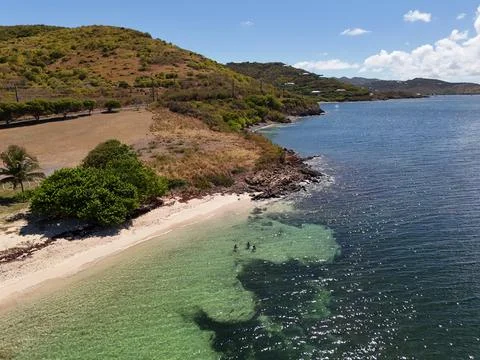 Fun in the ocean. Stock Photos