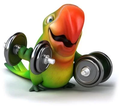 Fun parrot 스톡 일러스트