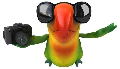 Fun parrot 스톡 일러스트