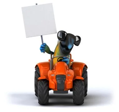 Fun parrot Stock Illustration
