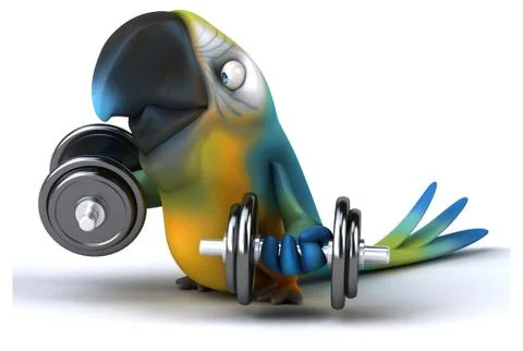 Fun parrot Stock Illustration