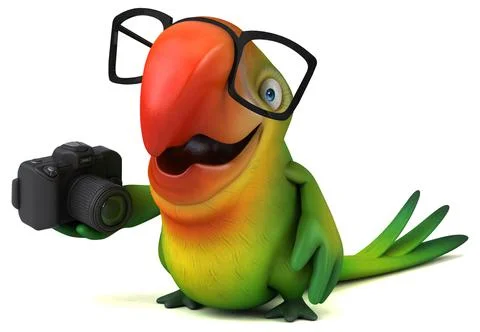 Fun parrot 스톡 일러스트