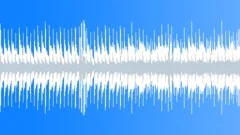 Fun Positive Acoustic Background loop: Happiness liveness Upbeat Stock Music