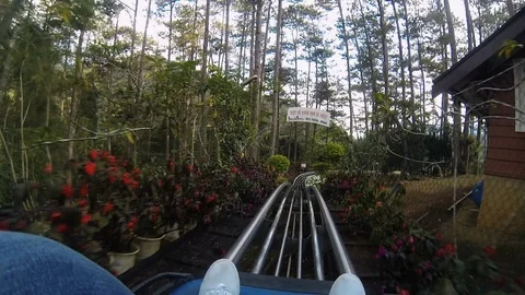 Fun ride in the park. A man rides a roller coaster through rainforest Vietnam Stock Footage 115960319