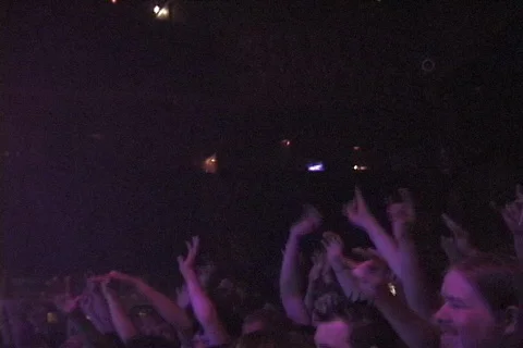 Fun Rock Crowd Video stock 290317