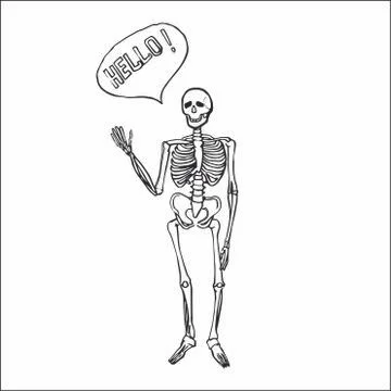 Fun smiling affably waving skeleton. Stock Illustration