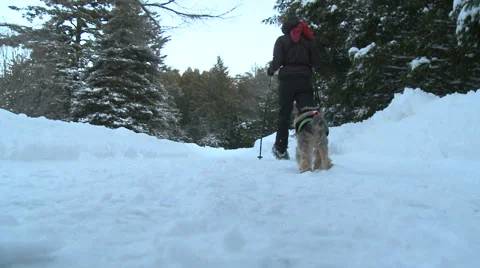Fun in the Snow Stock Footage 54713984