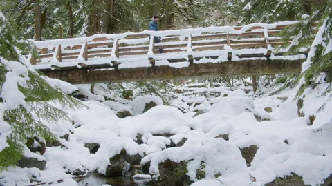 Fun in Snowy Forest with Man Crossing Wood Bridge Over Rocky Stream Stock Footage 304964705