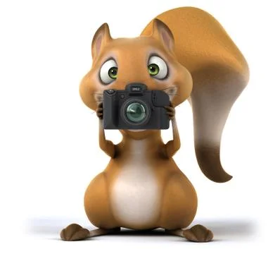 Fun squirrel Stock Illustration