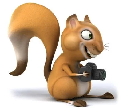 Fun squirrel Stock Illustration