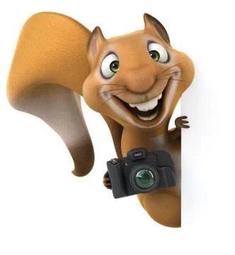 Fun squirrel Stock Illustration