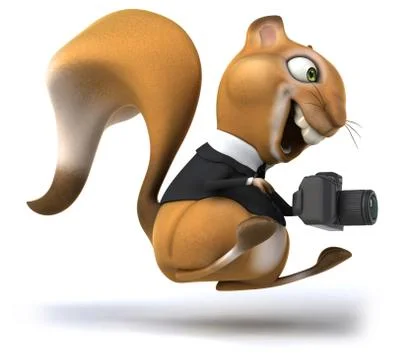 Fun squirrel Stock Illustration