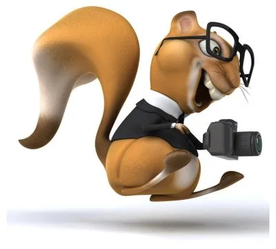 Fun squirrel Stock Illustration