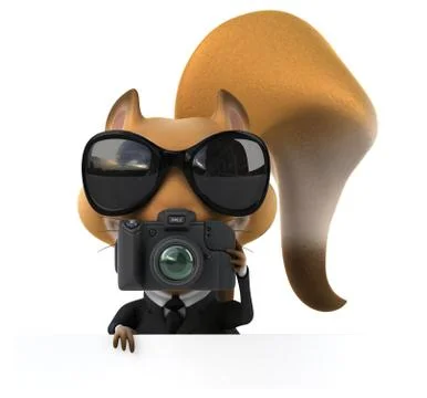 Fun squirrel Stock Illustration