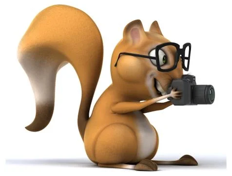 Fun squirrel Stock Illustration