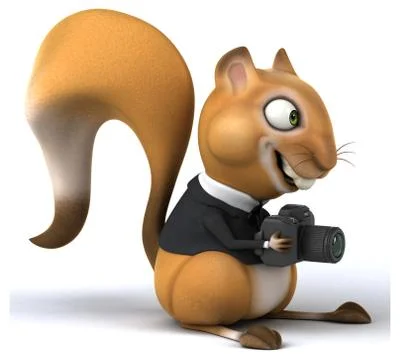 Fun squirrel Stock Illustration