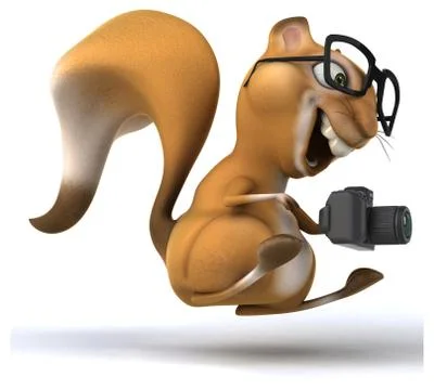 Fun squirrel Stock Illustration