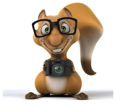 Fun squirrel Stock Illustration