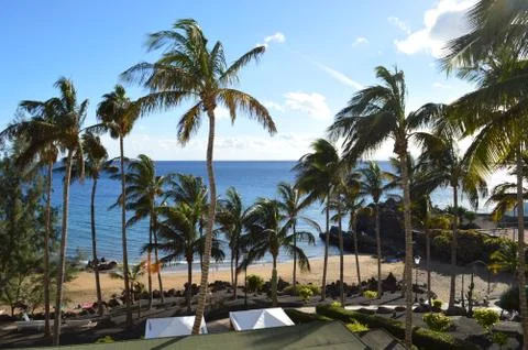 Fun in the Sun Stock Photos