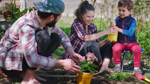 Fun time mam and dad playing with their small charismatic son with sprinklers Stock Footage 135660998
