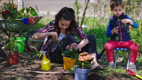 Fun time mom and his small boy spending time in the garden they planting some Stock Footage 135661660